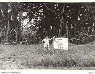 FINSCHHAFEN AREA, NEW GUINEA, 1944-03-17. NX49049 WARRANT OFFICER II, C.B. HADAWAY, ALONGSIDE THE JIVEVENANG SIGN INDICATING THE TREE UNDER WHICH HEADQUARTERS, 2/17TH INFANTRY BATTALION, WAS ..