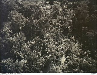 NEW GUINEA. C. 1944. AERIAL PHOTOGRAPH OF JUNGLE TERRAIN