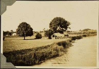 On the Adikeva in the Canal, 1928