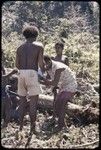 Land clearing: men clear trees and bushes from rocky land, preparing for construction