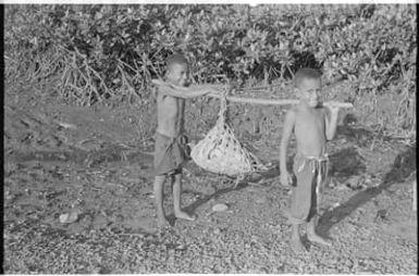 Fieldwork in Fiji