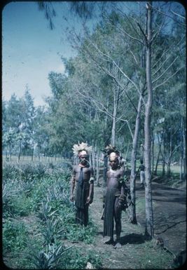 The passing parade on the road past our house, two children : Minj Station, Wahgi Valley, Papua New Guinea, 1954 / Terence and Margaret Spencer