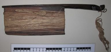 fishing kite and line