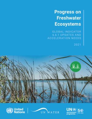 Progress on Freshwater Ecosystems : Global Indicator 6.6.1 Updates and Acceleration Needs
