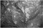 Aerial view of mountains, trails and garden clearings