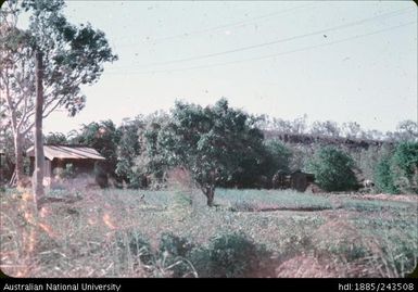 Tractor, Roper River