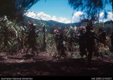 Spears and ceremonial dress