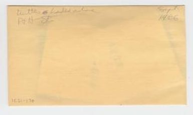 [Turtle in Hawaii, envelope IE31-176]