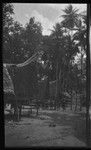 People near housesin a village, Dobu Island