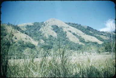 Old garden areas (1) : Goodenough Island, D'Entrecasteaux Islands, Papua New Guinea, 1956-1958 / Terence and Margaret Spencer
