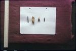 Artifacts from archaeology dig, Society Islands