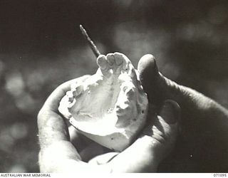 KILIGIA, NEW GUINEA. 1944-03-13. A DENTAL MECHANIC AT "E" SECTION, 2/5TH DENTAL UNIT, PREPARING A PLASTER OF PARIS MODEL MADE FROM AN IMPRESSION OF A PATIENT'S MOUTH. THE OBJECT OF THIS DENTAL UNIT ..