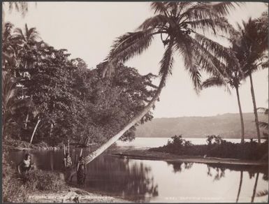 A man and two women on the banks of Roas Bay, Malaita, Solomon Islands, 1906 / J.W. Beattie