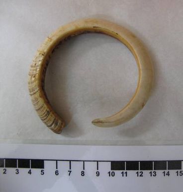 tusk