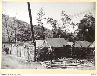 RABAUL, NEW BRITAIN. 1945-10-12. JAPANESE TROOPS MAKING A BAMBOO FENCE AROUND OTHER RANKS' TENDS, HEADQUARTERS 11 DIVISION. IT FORMS A PROTECTION AGAINST THE DUST FROM THE ROAD