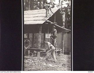 REINHOLD HIGHWAY, NEW GUINEA. 1943-07-08. STAFF OF THE 46TH AUSTRALIAN CAMP HOSPITAL DETACHMENT BUILDING A SUPPLY STORAGE HUT. THEY ARE: QX35017 CORPORAL (CPL) R. C. TULLOCK (ON ROOF); QX23513 ..