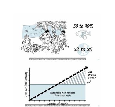Visualisation of Climate Change Impacts to Pacific Fisheries short video with subtitles