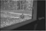 Man sits with young child, seen through a windowframe