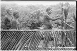 Consecration of feasting platform with bespelled cordyline, here being tied to the platform