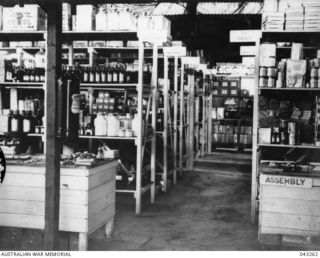 MEDICAL SECTION OF NO 17 STORES UNIT RAAF AT MILNE BAY, 1943-07. PHOTOGRAPH PUBLISHED IN AUSTRALIA IN THE WAR OF 1939-45, MEDICAL, VOL 4, MEDICAL SERVICES OF THE RAN AND RAAF, PAGE 206