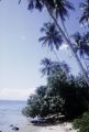 French Polynesia, beach on Moorea Island