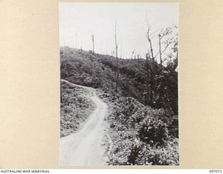 BOUGAINVILLE. 1945-09-26. THE ROAD LEADING TO THE TOP OF ARTILLERY HILL WHICH IS NOW OCCUPIED BY 3 DIVISION TROOPS. THE HILL SHOWS SIGNS OF DEVASTATION FROM ALLIED ATTACKS