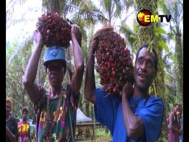 SMALLHOLDER GROWERS ASISSTED