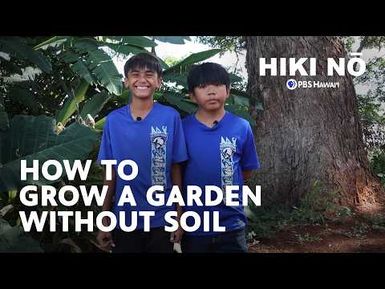 How to Grow a Garden Without Soil | HIKI NŌ on PBS Hawaiʻi