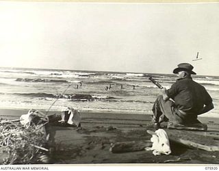 HANSA BAY, NEW GUINEA. 1944-09-06. W20037 PRIVATE V.T. MURPHY, B COMPANY, 25TH INFANTRY BATTALION KEEPING SHARK WATCH ON THE BOROI BEACH WHILE HIS FELLOW UNIT MEMBERS ENJOY A SWIM