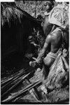 Pig festival, stake-planting, Tuguma: man applies magical substance from small paper bundle to sharpened stakes