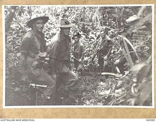 SATTELBERG AREA, NEW GUINEA. 1943-11-15. TROOPS OF THE 2/24TH. AUSTRALIAN INFANTRY BATTALION MOVING UP A STEEP HILL DURING THEIR ADVANCE TO ESTABLISH NEW FORWARD POSITION. SHOWN ARE: VX42100 ..