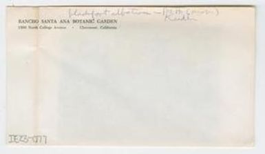 [Blackfoot elatior in Hawaii, envelope IE23-077]