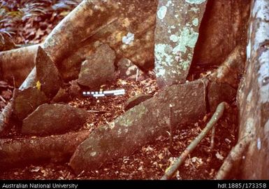 A-pal-a-vat at Ragai Maravot area