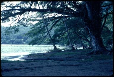 Along the beautiful coastline (1) : Bougainville Island, Papua New Guinea, April 1971 / Terence and Margaret Spencer