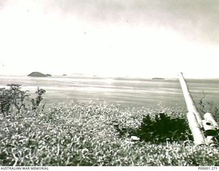THE SOLOMON ISLANDS, 1945-10-15. A JAPANESE NAVAL GUN MOUNTED ON THE COAST OF BOUGAINVILLE ISLAND. (RNZAF OFFICIAL PHOTOGRAPH.)