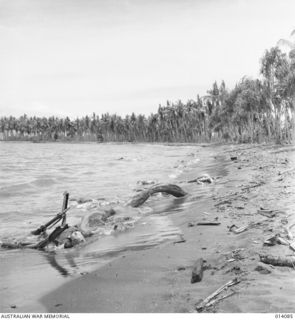 1943-01-14. PAPUA. BUNA. THE BEACH AT BUNA MISSION LITTERED WITH JAPANESE DEAD. (NEGATIVE BY BOTTOMLEY)