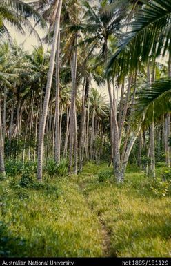 New Guinea / Solomon Islands