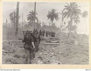 SUAIN PLANTATION, NEW GUINEA. 1944-12-06. A COMPANY, 2/4 INFANTRY BATTALION MEMBERS RETURNING HOME FROM A PATROL ALONG THE DANMAP RIVER. THE COCONUT PALMS WERE DROPPED ACROSS THE TRACK BY JAPANESE ..