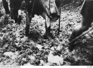Australian troops plough through mud and slush in the heart of New Guinea on their way out of a forward area for a well-earned spell