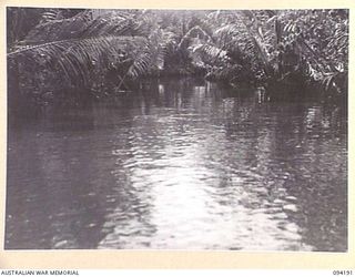 WEWAK AREA, NEW GUINEA. 1945-07-18. THE URFIP CREEK VIEWED FROM A BOAT CARRYING 104 CASUALTY CLEARING STATION AND 2/22 FIELD PARK COMPANY, ROYAL AUSTRALIAN ENGINEERS, PERSONNEL. THE SAGO (SAC-SAC) ..