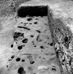 Vailele excavation. Lyaer 'natural' showing postholes from west end.