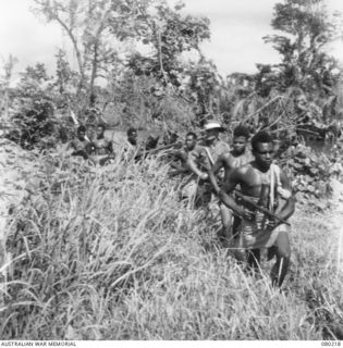 HANSA BAY, NEW GUINEA. 1944-07-08. NO. 5 PLATOON, A COMPANY, 1ST PAPUAN INFANTRY BATTALION, ESCORTED BY SERGEANT R.H. BARKER, ON PATROL. THE LEADING BOY IS INANDUA, WHO HAS 25 JAPANESE TO HIS ..