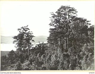 NEW GUINEA. 1944-07-09. A SECTION OF THE RUGGED COUNTRY NEAR STEELE FALLS THROUGH THE NEW WAU-BULLDOG ROAD IS BEING BUILT BY THE ROYAL AUSTRALIAN ENGINEERS