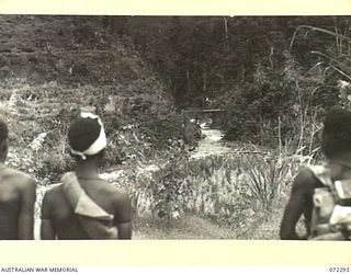 YAULA, NEW GUINEA. 1944-04-10. UNDESTROYED JAPANESE BRIDGES ACROSS THE KOFEBI RIVER, A TRIBUTARY OF THE MINTJIM RIVER. THE BRIDGES REMAINED DURING THE RAPID ADVANCE OF THE 57/60TH INFANTRY ..