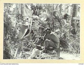 KALAI PLANTATION, NEW BRITAIN. 1945-02-17. V220136 SIGNALLER F.M. ALLEN OPERATING A SIGNAL POST OF THE 19TH INFANTRY BATTALION