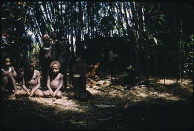 Children waiting to be decorated while a man unwraps plumes from banana leaf parcel (2) : The Tengerap Clan Singsing, Wahgi Valley, Papua New Guinea, 1954 / Terence and Margaret Spencer