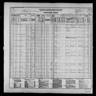 1940 Census Population Schedules - Hawaii - Maui County - ED 5-4