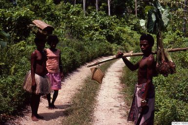 ["fotografi, photograph"]