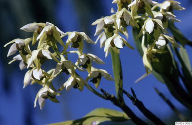 ["fotografi, photograph"]