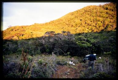 Campsite at dawn